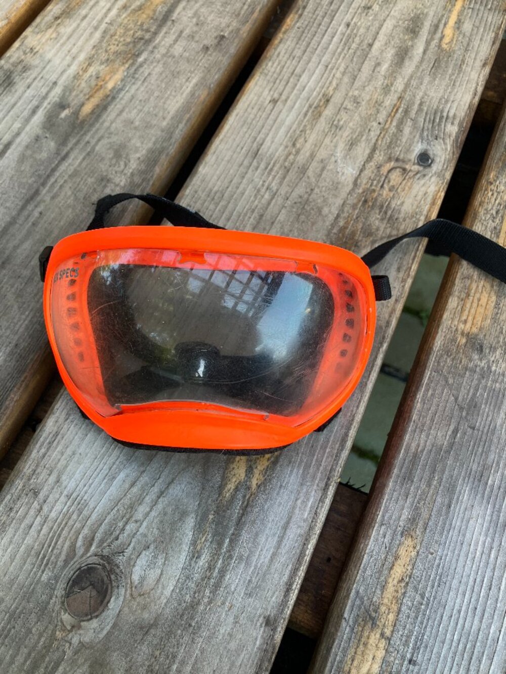 . 🐶 Rex Specs Dog Goggles Size Med | UV Eye Protection for Dogs | Orange Black